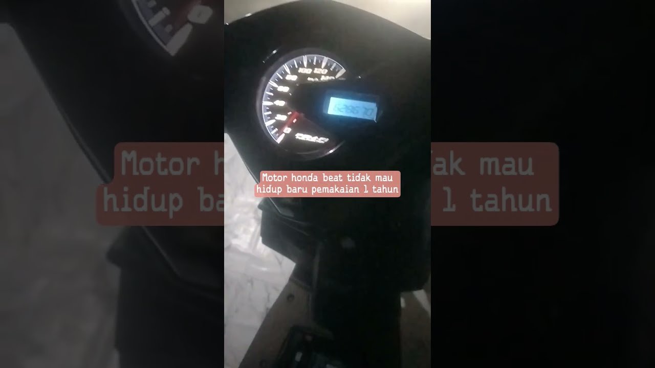 Upgrade Performa Motor:  Gaya dan Performa Maksimal